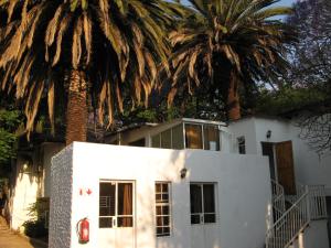 约翰内斯堡Rosebank Hostel的后面有两棵棕榈树的白色房子
