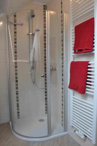 赖兴瑙Familie Stoier的浴室里设有淋浴间,备有红色毛巾