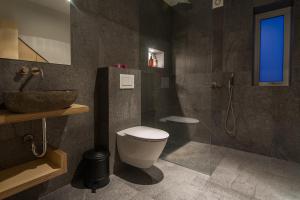 阿克雷里维京度假屋的浴室配有卫生间、盥洗盆和淋浴。