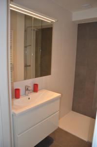 奥斯坦德4B @ Longchamp的白色的浴室设有水槽和镜子