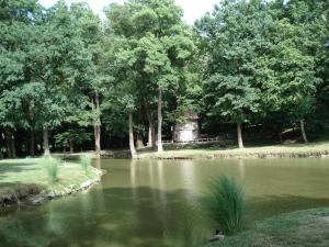 NašiceGuesthouse Ivancica的一座种有树木的池塘和一座房子