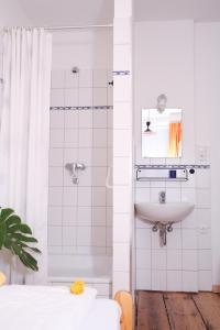 汉堡拉豪斯旅馆的一间带水槽和淋浴的浴室