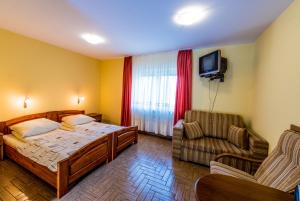 奥克宁卡芭比拉托酒店的一间卧室配有一张床、一台电视和一把椅子