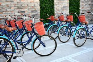 图卢姆图伦艾利曼斯精品酒店的停在大楼旁边的一排蓝色自行车