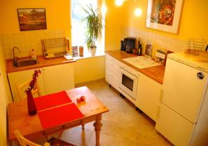 德累斯顿Elbvilla Dresden的厨房配有桌子、冰箱和水槽