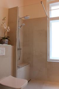 德累斯顿Elbvilla Dresden的带淋浴、卫生间和窗户的浴室