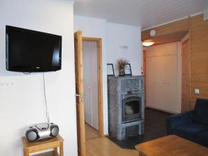 萨利色尔卡Lapin Kutsu Holiday Homes的客厅设有壁炉和电视。