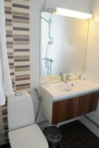 Kankaanpää卢米埃恩芬兰迪亚酒店的一间带水槽、卫生间和镜子的浴室