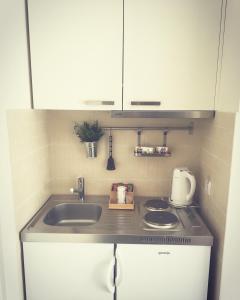 贝尔格莱德文物公寓的厨房配有水槽和台面