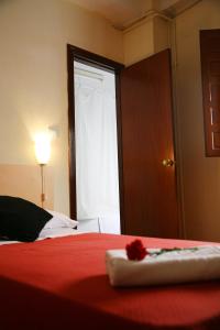格拉纳达Pensión Duquesa Bed & Breakfast的一间卧室配有一张带红色毯子的床和窗户。