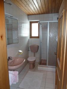 蒂罗尔州基希多夫Ferienwohnungen Schneider的浴室配有盥洗盆、卫生间和淋浴。