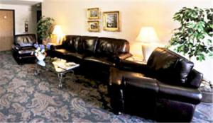 西尔弗索恩斯乐福尔酒店的客厅配有两张真皮沙发和一张桌子