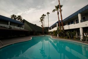 长滩柯伦特酒店的棕榈树建筑前的游泳池