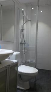 OutokumpuKyykerin Kartano的浴室配有卫生间、淋浴和盥洗盆。