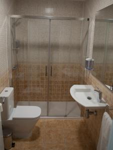 奥尔韦加Hostal Gargal的带淋浴、卫生间和盥洗盆的浴室