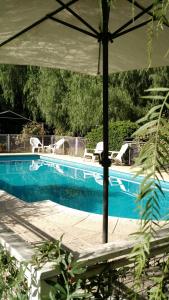 梅洛Residencial Castelar的游泳池旁配有椅子和遮阳伞