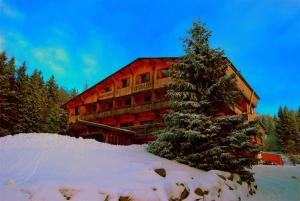 克松吕-隆日梅领小屋酒店的雪中有一棵圣诞树的建筑
