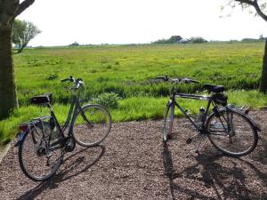 沃尔克姆B&B en Vakantiehuisje Ursula的两辆自行车停在田野旁边的砾石路上