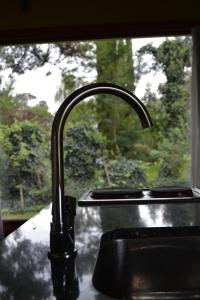 坦迪尔Cabaña El Tigre的厨房水槽,窗户前方设有水龙头