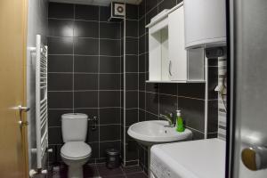 斯科普里大都会斯科普里公寓的一间带卫生间和水槽的小浴室