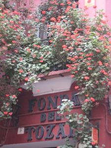 特鲁埃尔丰达托萨尔旅馆的挂在建筑物上的一束花