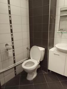 波罗维茨Denitsa Apartment的一间带卫生间和水槽的浴室