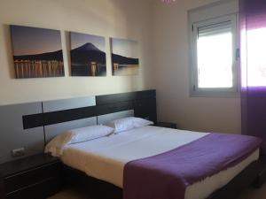 维辛达里奥Apartamento Atlántico的一间卧室配有一张大床和紫色毯子