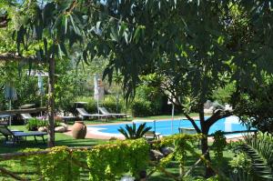 费拉约港Hotel Tirrena Bike & Country Hotel的站在花园游泳池旁的人