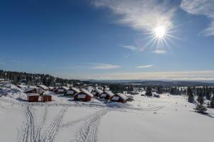 诺德塞特Lillehammer Fjellstue og Hytteutleie的雪覆盖的村庄,天空中充满阳光