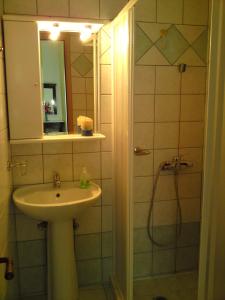 奈德里周日一室公寓的浴室配有盥洗盆和带镜子的淋浴