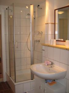 萨斯尼茨Käuzchenkuhle的白色的浴室设有水槽和淋浴。