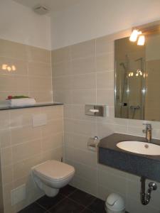 巴特法灵博斯特尔施海根酒店的一间带卫生间和水槽的浴室