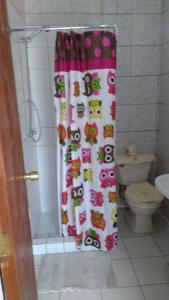 奥索尔诺Cabaña Don Claudio的设有带卫生间的浴室内的淋浴帘