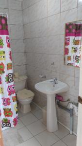 奥索尔诺Cabaña Don Claudio的一间带水槽和卫生间的浴室
