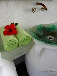 Spathi La Maison Vert Amande的浴室设有水槽和毛巾,上面有鲜花