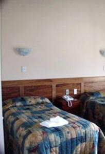 半月湾南海汽车旅馆 - 斯图尔特岛的一间酒店客房,客房内配有一张床