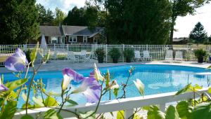 鱼溪Peninsula Park-View Resort的一座带白色围栏和紫色花卉的游泳池