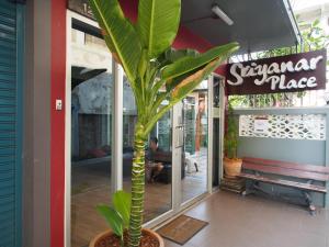 曼谷丝丽亚娜尔广场旅馆的商店前锅里的植物