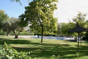 SomosaguasModern B&B Somosaguas的一个带游泳池、树木和遮阳伞的公园