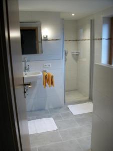 施万高阿尔卑斯玫瑰酒店的带淋浴、盥洗盆和淋浴的浴室