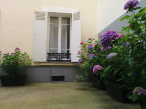 巴黎第五庭院住宿加早餐旅馆的建筑一侧的紫色花窗