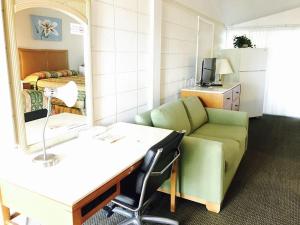 北港Warm Mineral Springs Motel的一间配备有沙发和镜子的客房