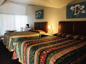 北港Warm Mineral Springs Motel的一间酒店客房,房间内设有两张床