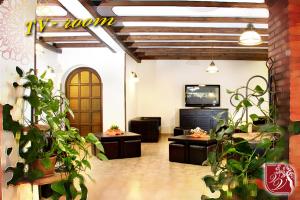 内图诺维迪安纳别墅的一间种植了盆栽植物的客厅和一台电视
