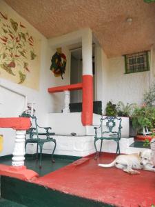 安东尼奥港Drapers San Guest House的狗躺在房子前门廊上