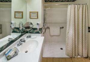 贝灵厄姆费尔黑文乡村旅馆的浴室配有白色水槽和淋浴。