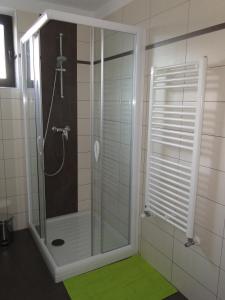 莫斯特纳索契Apartma Jezero的带淋浴的浴室(铺有绿色地毯)