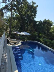茨里克韦尼察Guest House Villa Dagmar的一个带遮阳伞和椅子及遮阳伞的游泳池