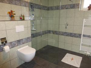 's-Graveland沙坑住宿加早餐旅馆 的一间带卫生间和淋浴的浴室
