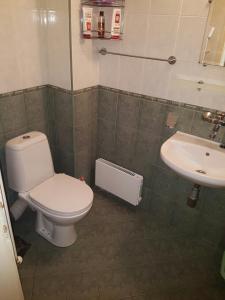 索非亚Pirotska Apartment GN / FREE GARAGE的一间带卫生间和水槽的浴室